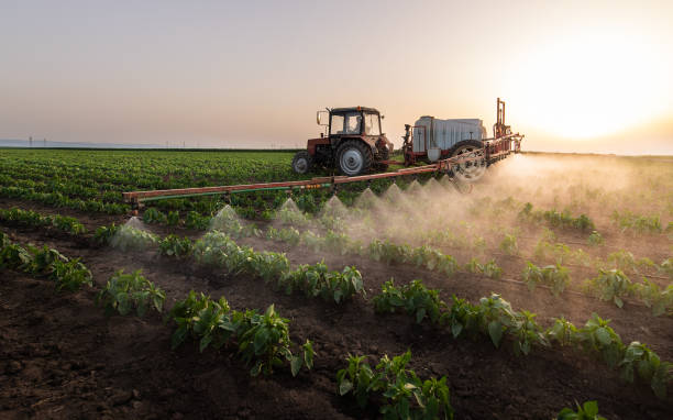 Best Cockroach Control Services  in Crandon, WI