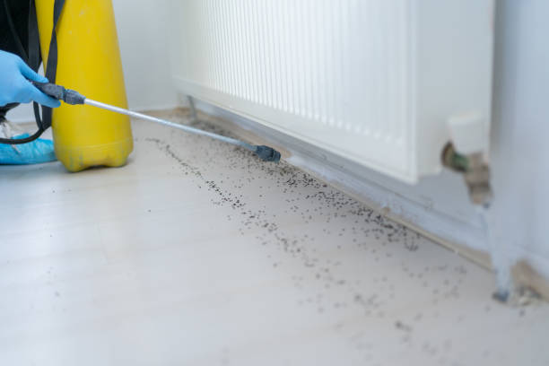Pest Prevention Services in Crandon, WI