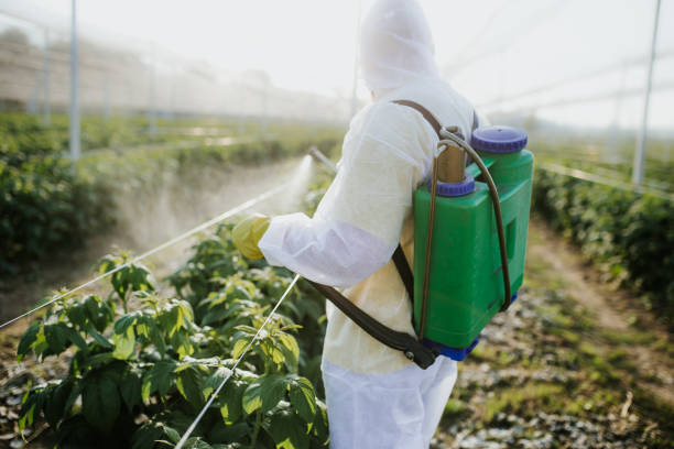 Best Wasp Removal Services  in Crandon, WI